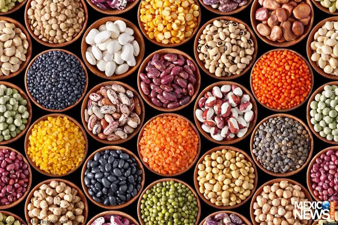 El frijol es de origen mexicano, no andino