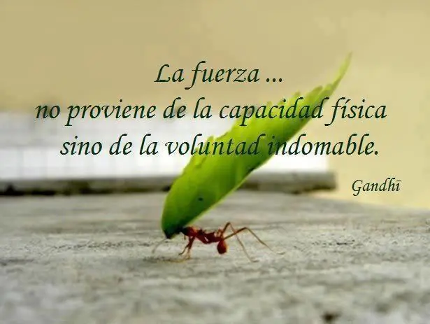 economia
