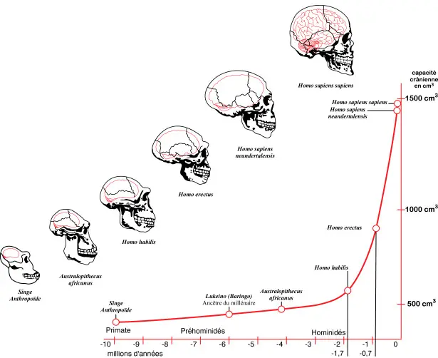 ciencia de la Felicidad ciencia de la Felicidad