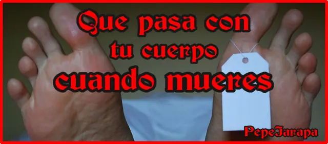 que pasa