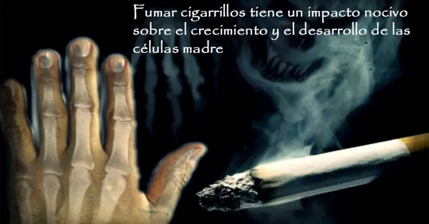 impresionanates impresionanates