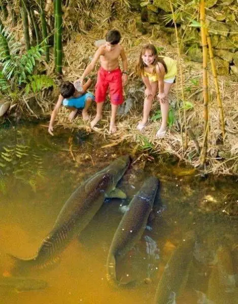 Fotos re locas que tenes que ver-parte 85