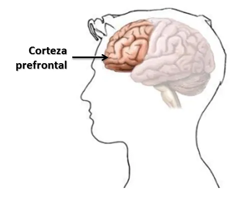 Psicologia Psicologia