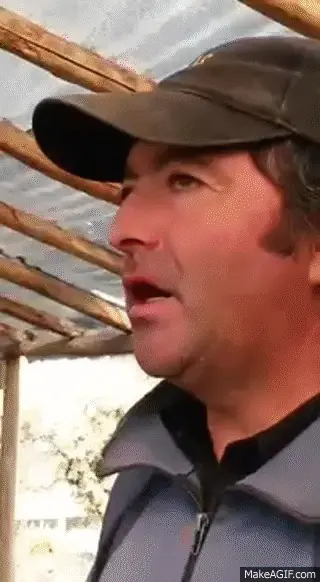 manjar manjar