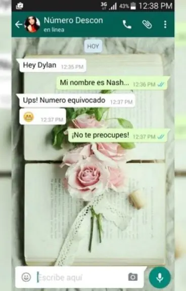 Personas que mandaron mensajes a números equivocados