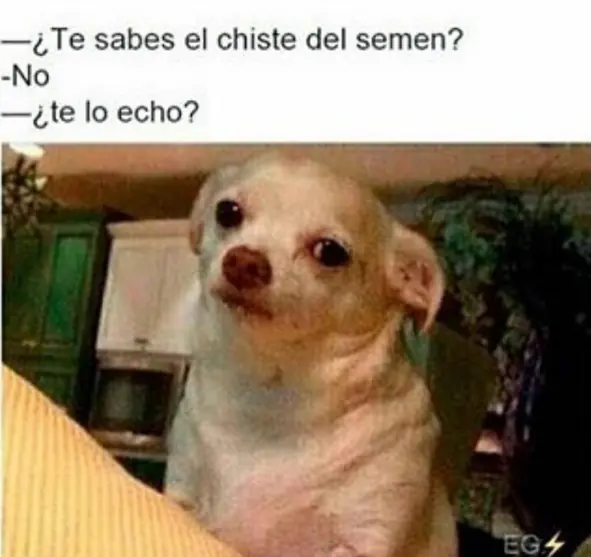 16 Imágenes crueles que te harán reír.!!!