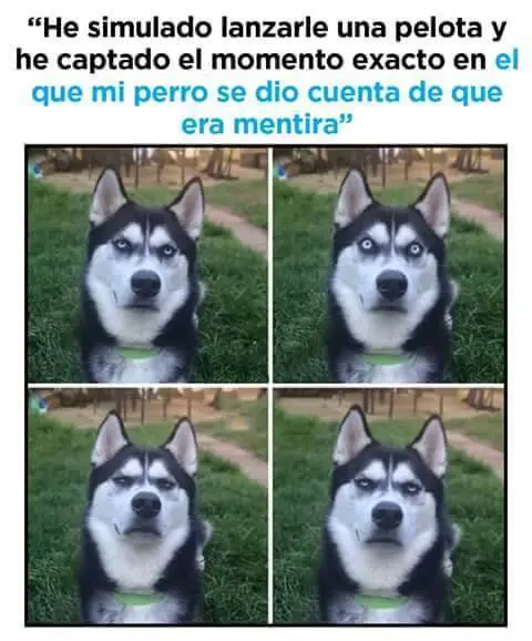 memes