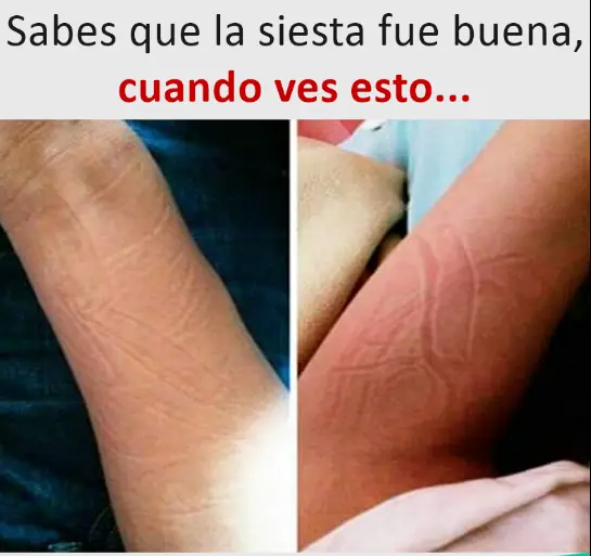 imagenes divertidas