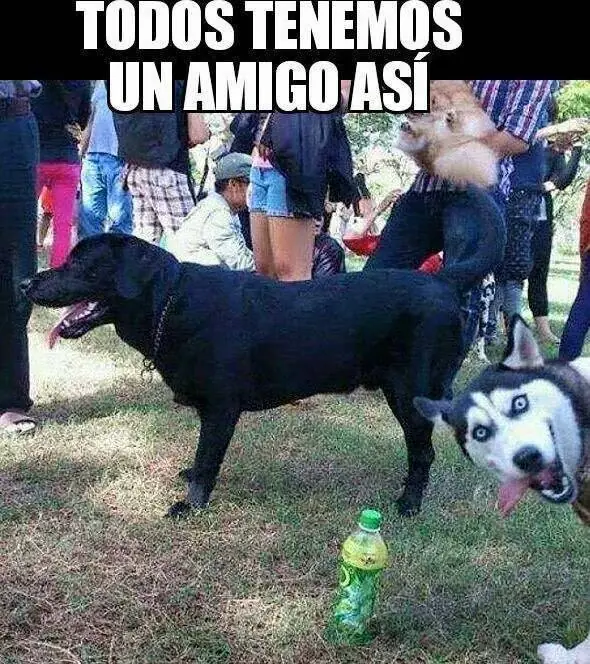 Humor para levantar el viernes