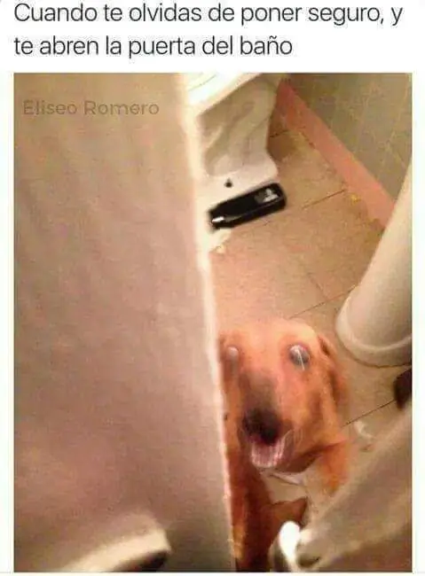 humor
