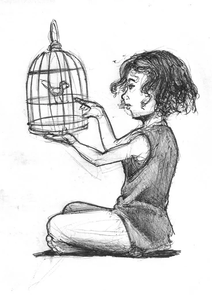 dibujo a color