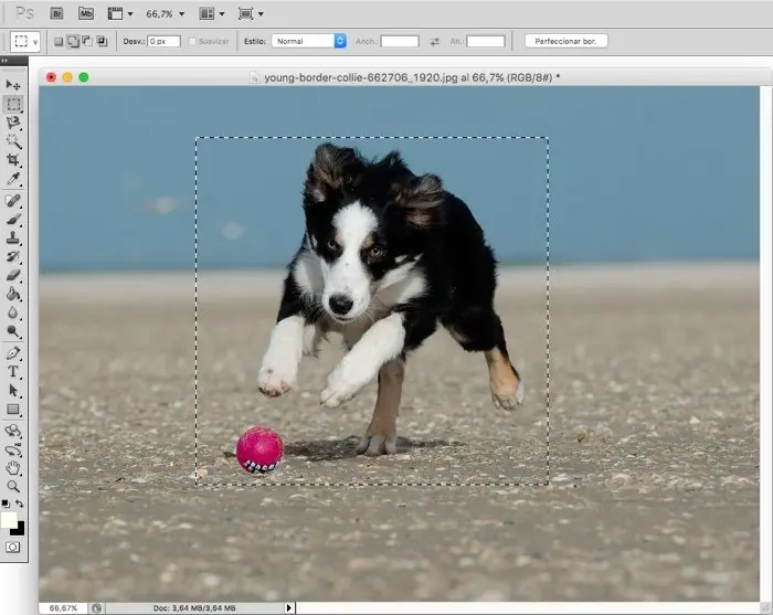 destacar al protagonista