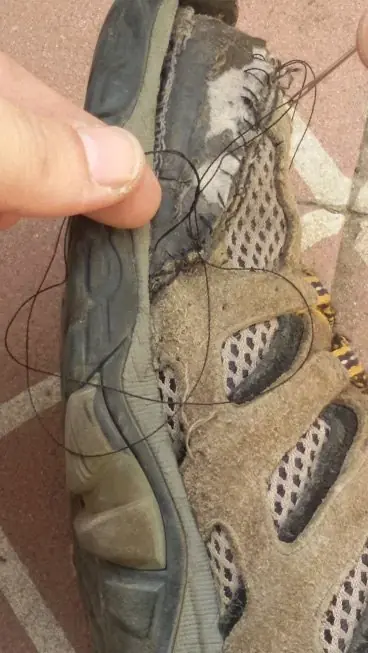 calzados