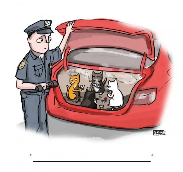 Humor gráfico para alegrarte la tarde 11,pasa lince