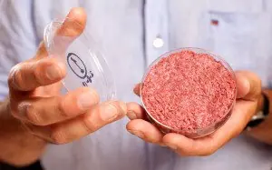McDonalds y sus ingredientes secreto