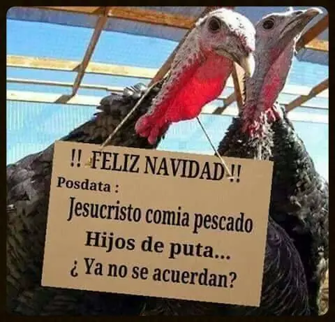 imagenes