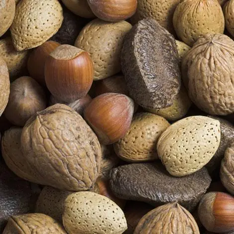 Alimentos beneficos para tener tus neuronas en buen estado Alimentos beneficos para tener tus neuronas en buen estado
