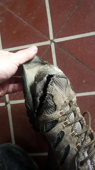 calzados
