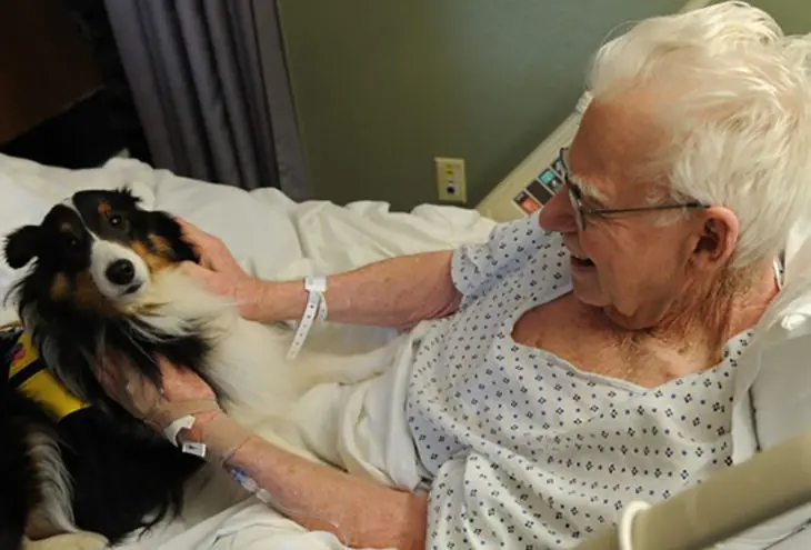 Hospital permite a los enfermos recibir a tus mascotas