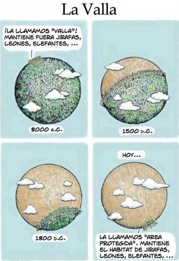 Humor gráfico para alegrarte la tarde 11,pasa lince