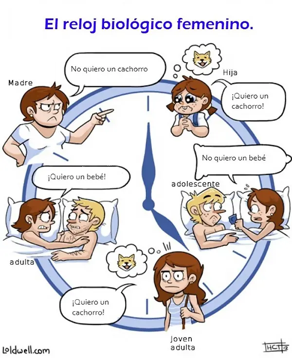 humor graico