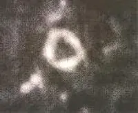 Contactoparanormalnet