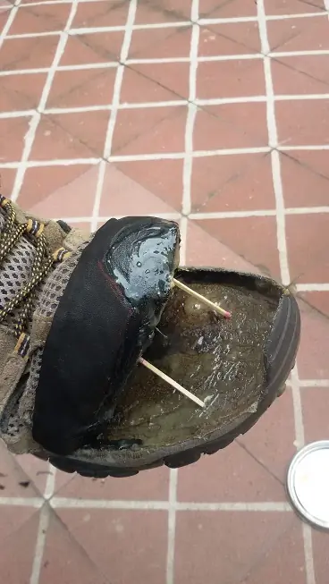 calzados