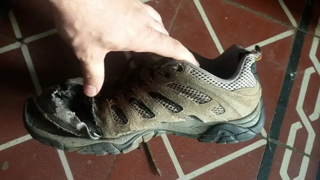 inteligencia colectiva