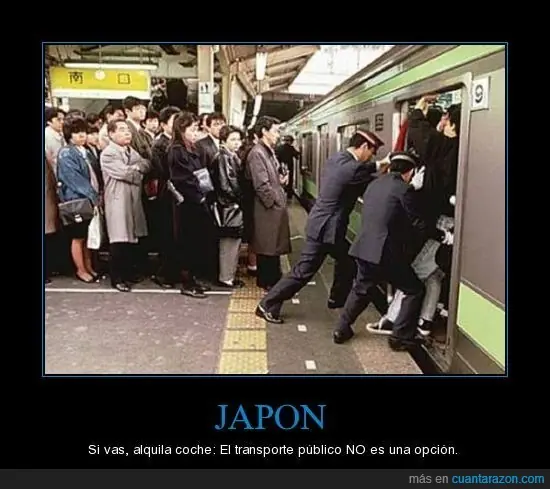 voto
