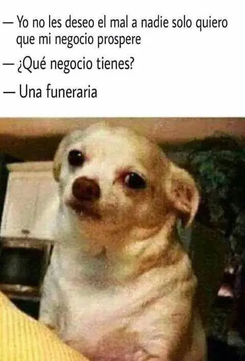 humor