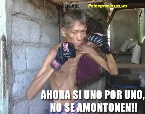 taringa