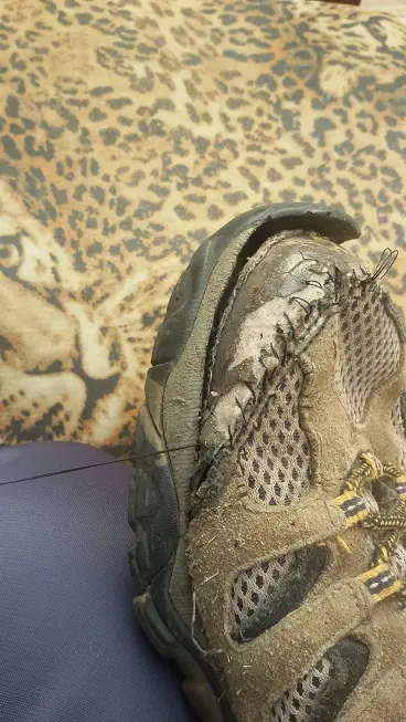 repara zapatillas