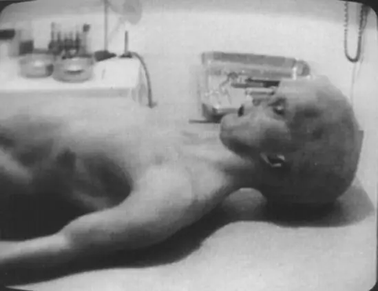 humanoide