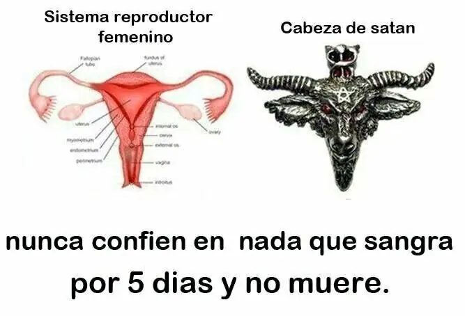 memes