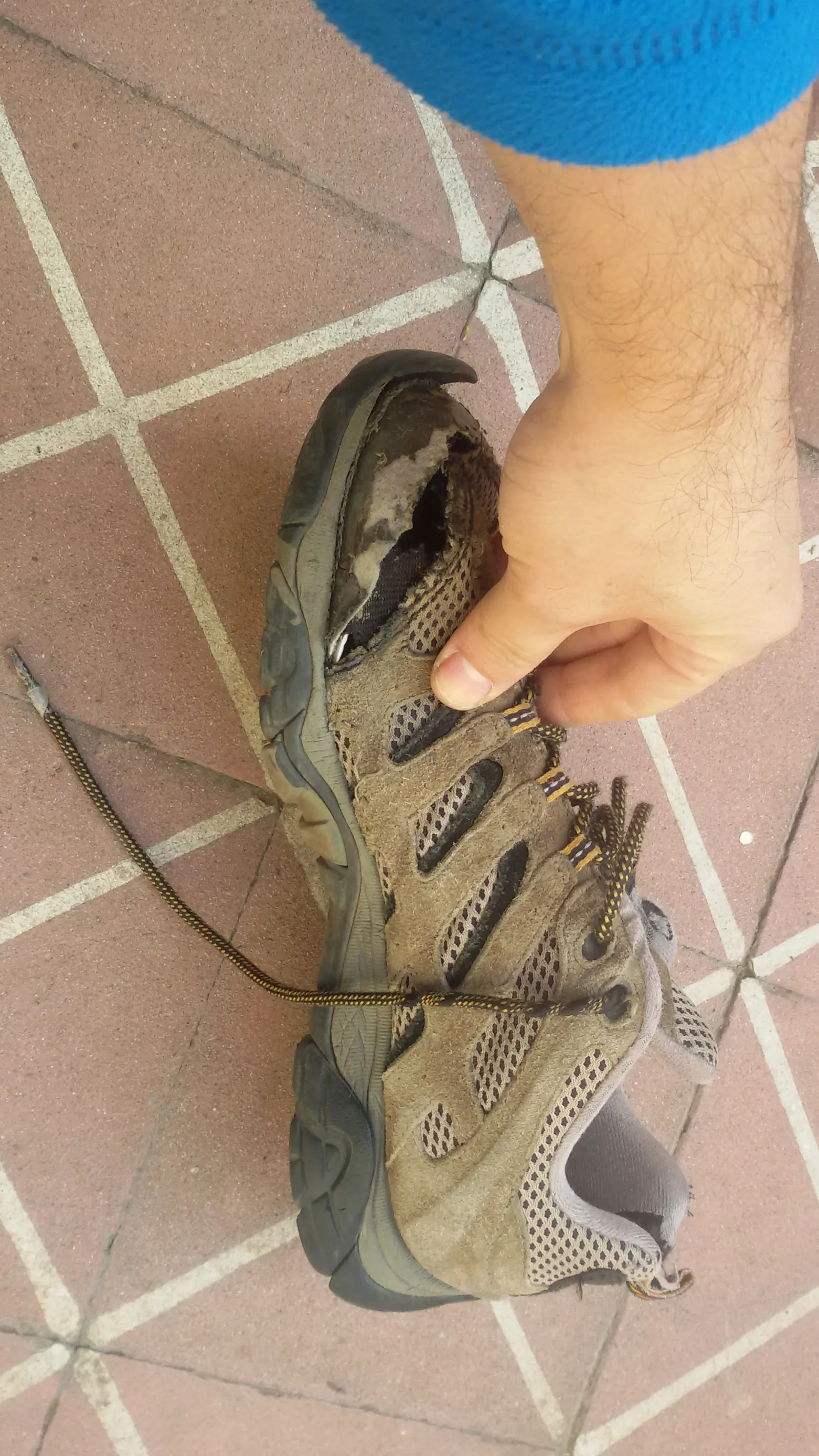 calzados