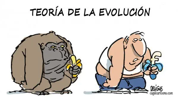 humor graico