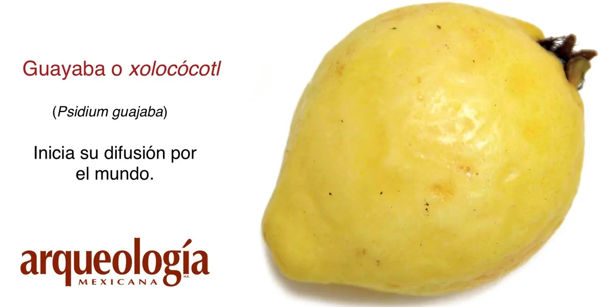arqueologia mexicana