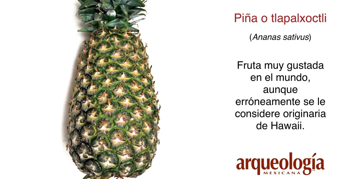 9 frutos originarios de México