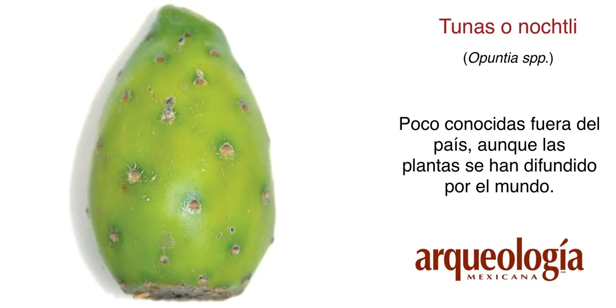 arqueologia mexicana