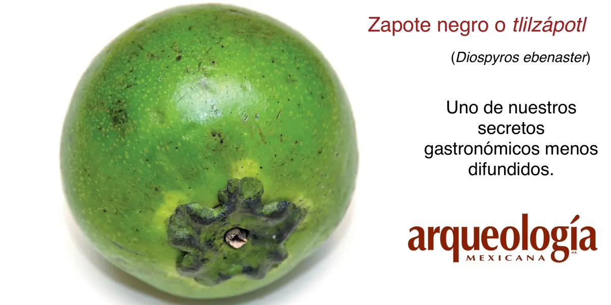 frutos originarios de mexico