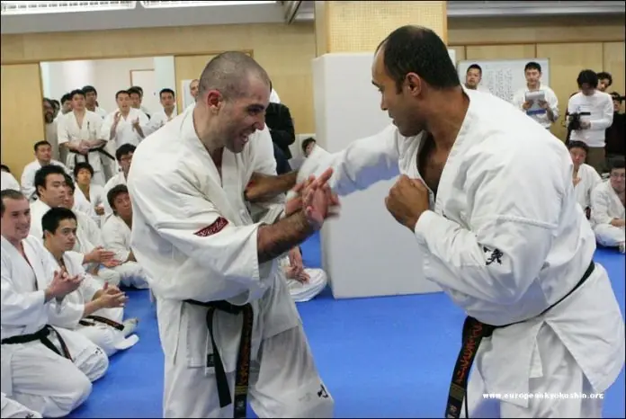 5 ridículos mitos de las artes marciales