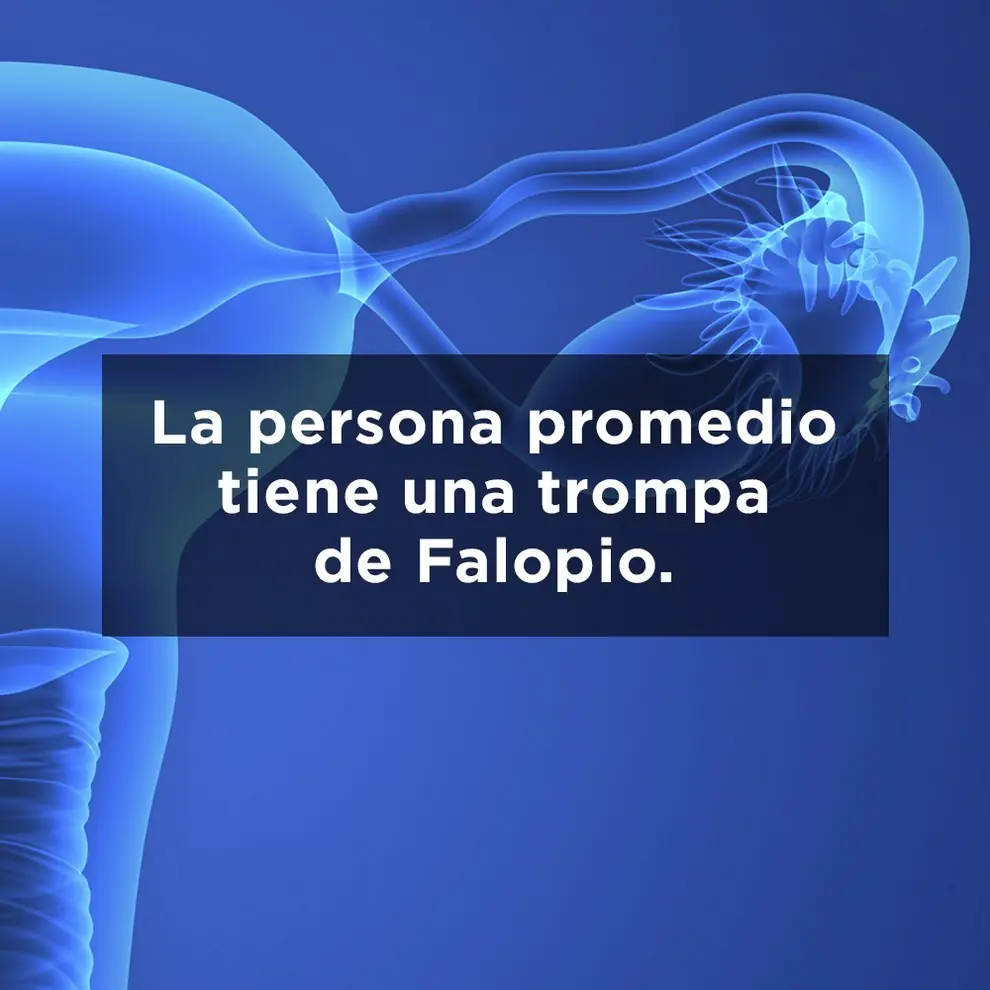 21 Verdades obvias que no habías notado