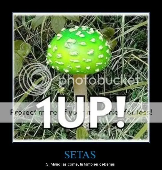imagenes muy graciosas megapost