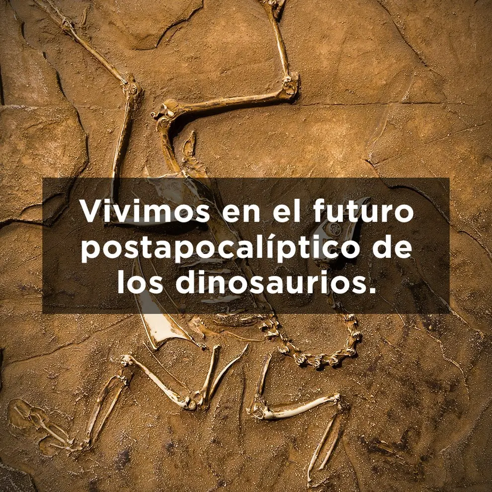 y pocas veces nos sentamos a ana