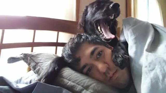entra y reite