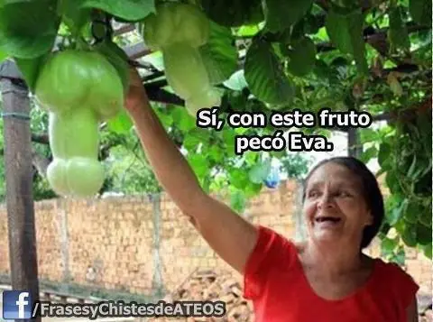 humor