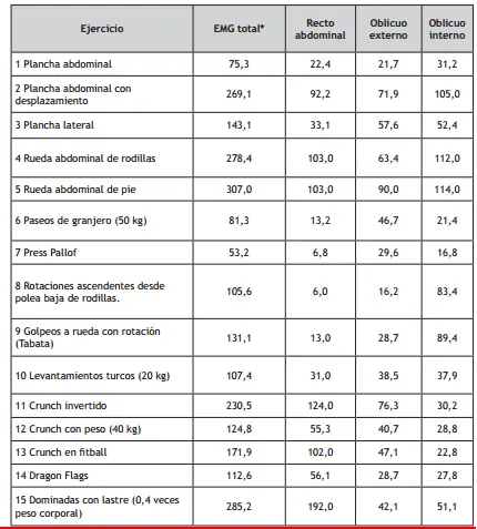 musculacion musculacion