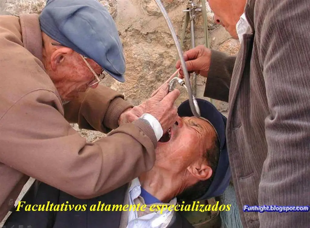 dentista dentista