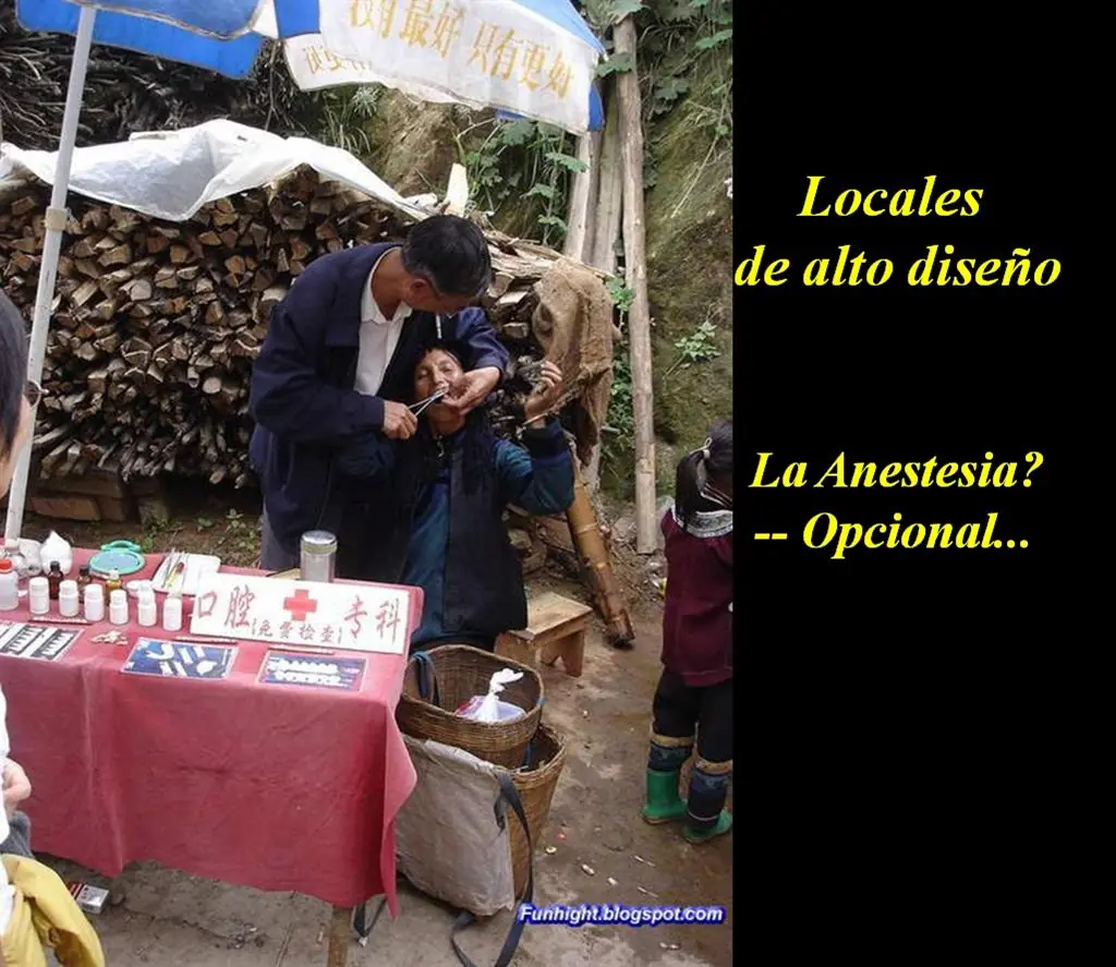 arreglos arreglos