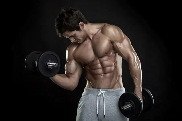 Abdominales: Dieta y entrenamiento, todo lo que debes saber. Abdominales: Dieta y entrenamiento, todo lo que debes saber.